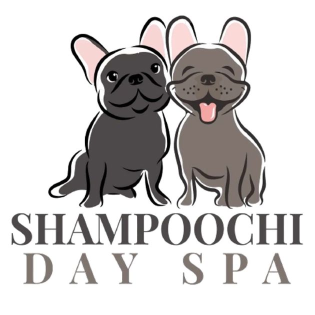 Shampoochidayspa's avatar