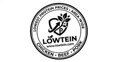 Lowtein's avatar