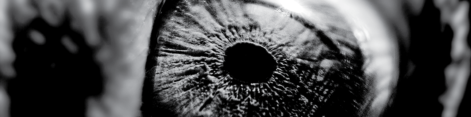 Profile banner