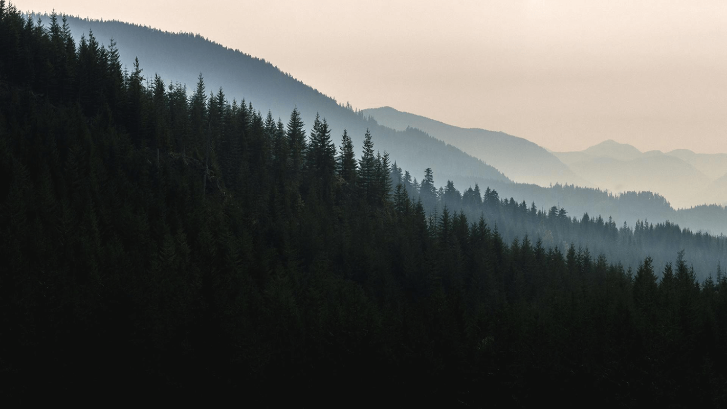 Profile banner