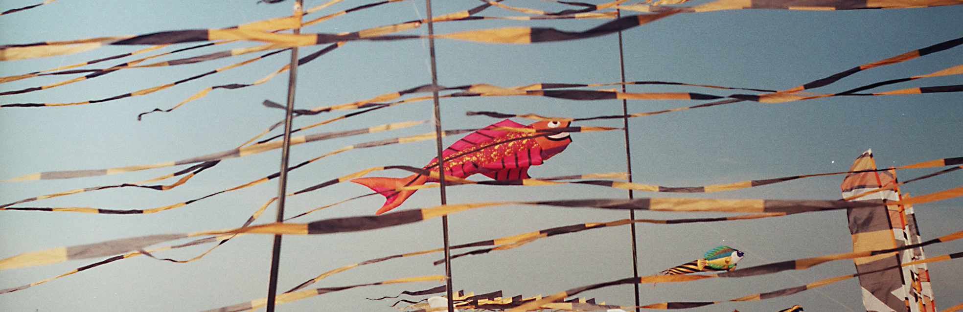 Profile banner