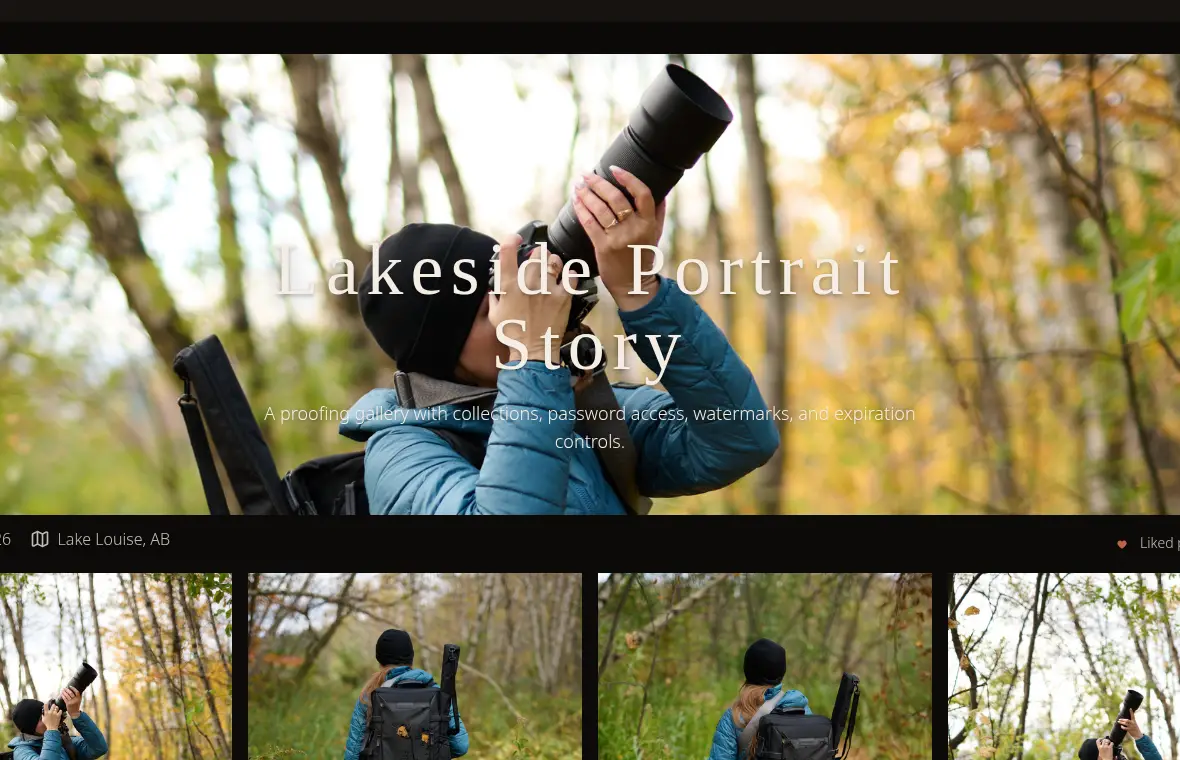 Profile banner