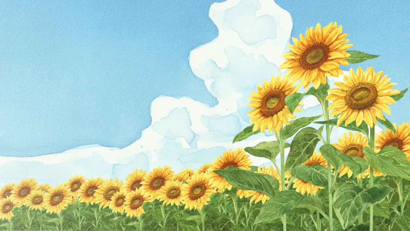 Profile banner