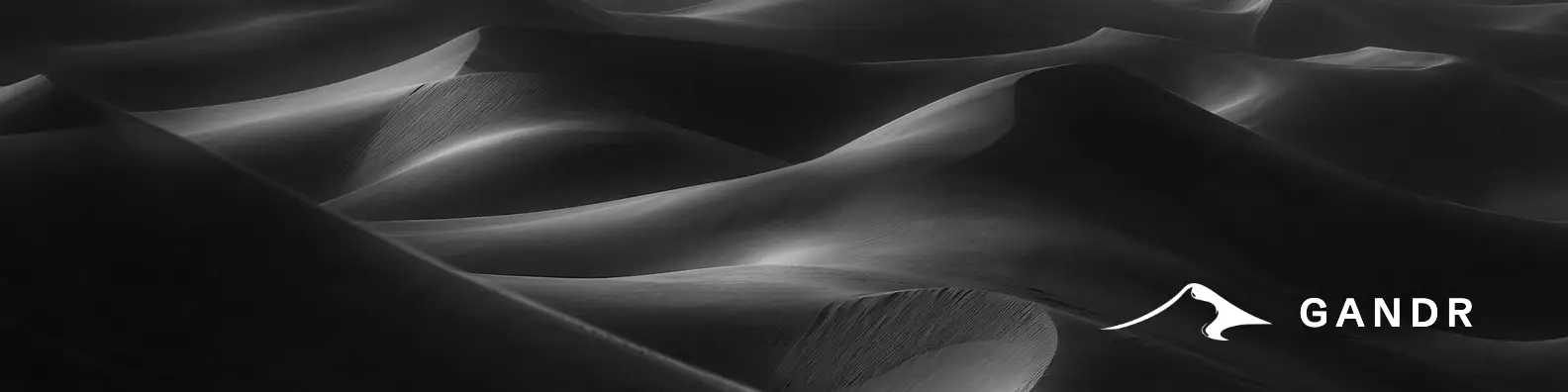 Profile banner