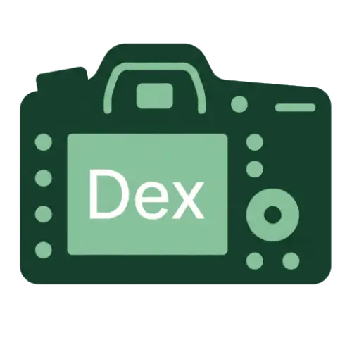 RealDex