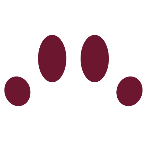Logo of Pawgo