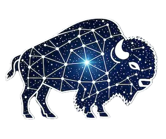 Logo of Bisonary