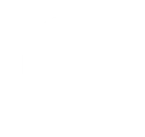 Logo of outhentik