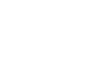 Logo of Sentrup
