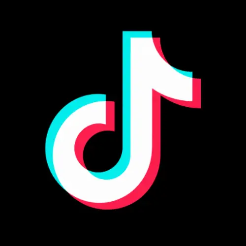 TikTok Story Viewer