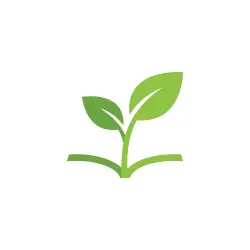 Logo of Sprout Lessons