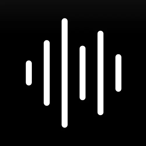 VoiceX