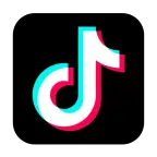 TikTok Story Viewer and Downloader