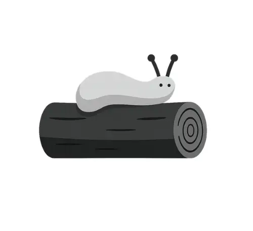 Sloggo