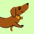 Logo of Frank